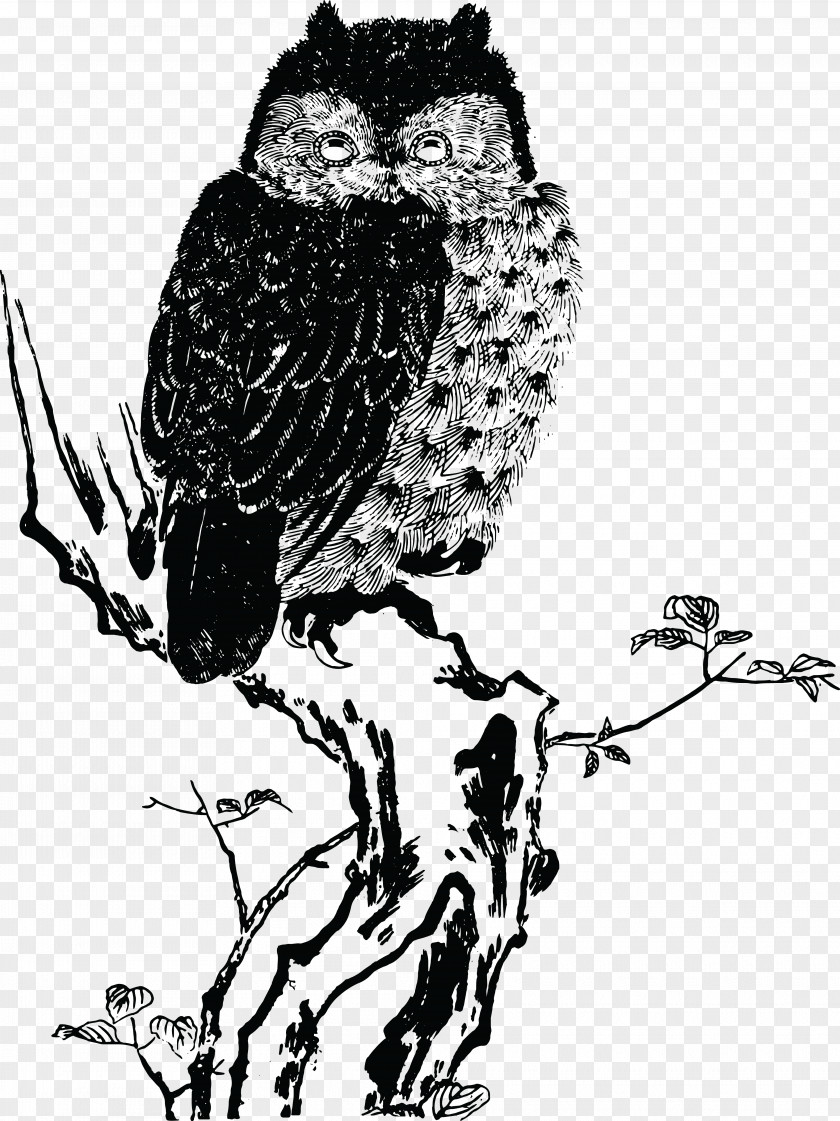 Owls Japanese Art Painting Woodblock Printing In Japan PNG