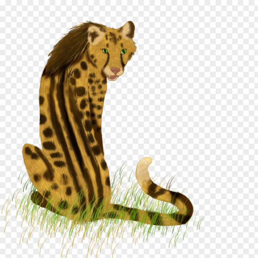 Cheetah King Cat Leopard Mammal PNG