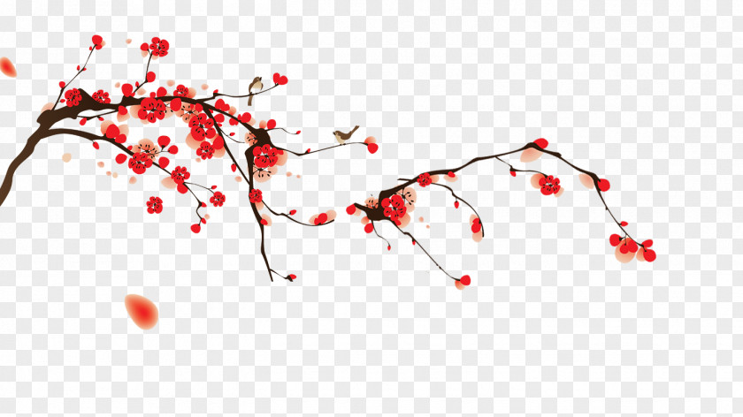 Cherry Blossom National Festival Plum PNG