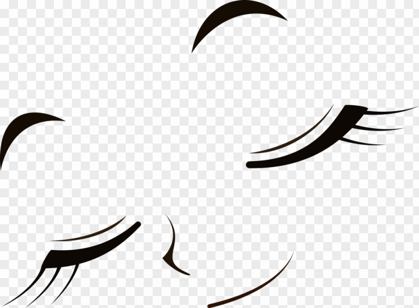 Closed Eyes Eyebrow Smile Face PNG