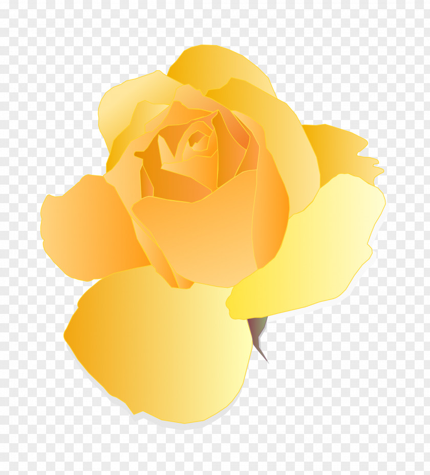 Yellow Rose Eat And Style Zazzle Thorns, Spines, Prickles PNG