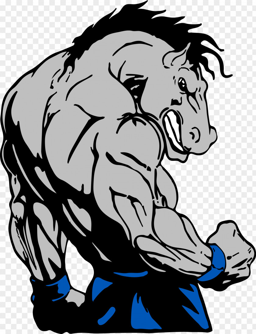 Bodybuilding Horse Ky Open Weight Training Physical Exercise PNG