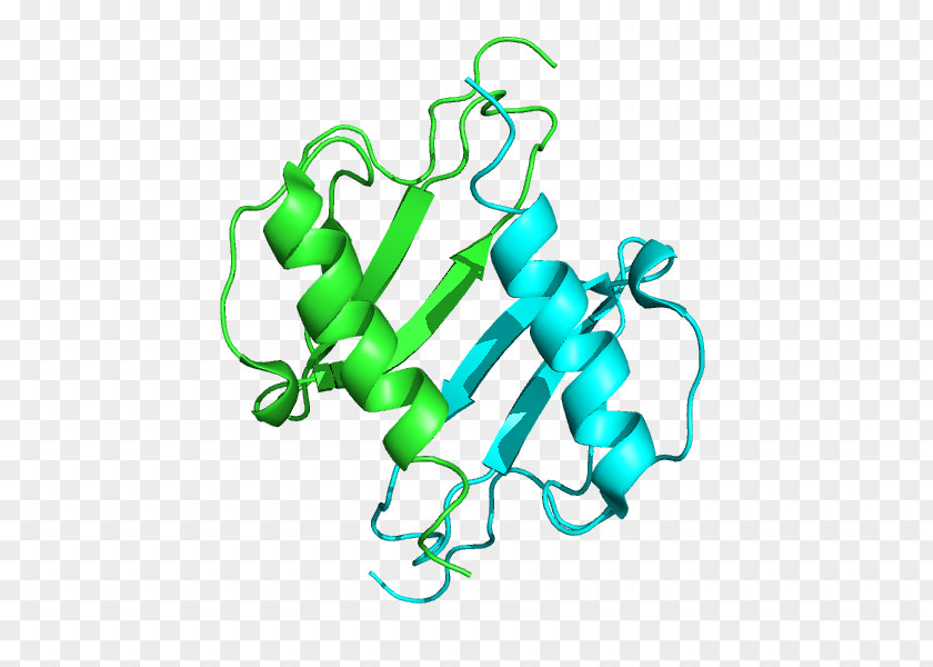 CXCL5 Chemokine Receptor BRCA1 Inflammation PNG