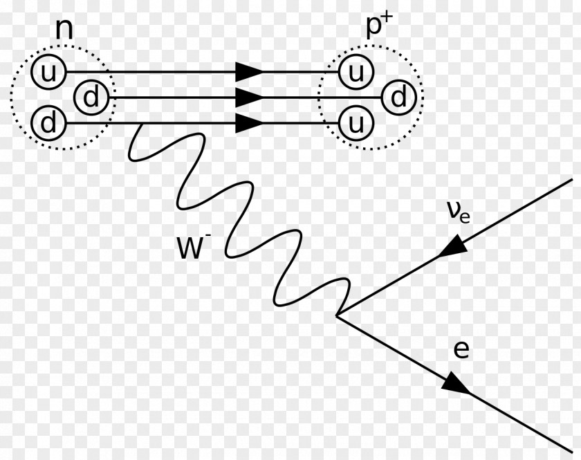 Decay Feynman Diagram Beta Particle Positron Emission Quantum Mechanics PNG