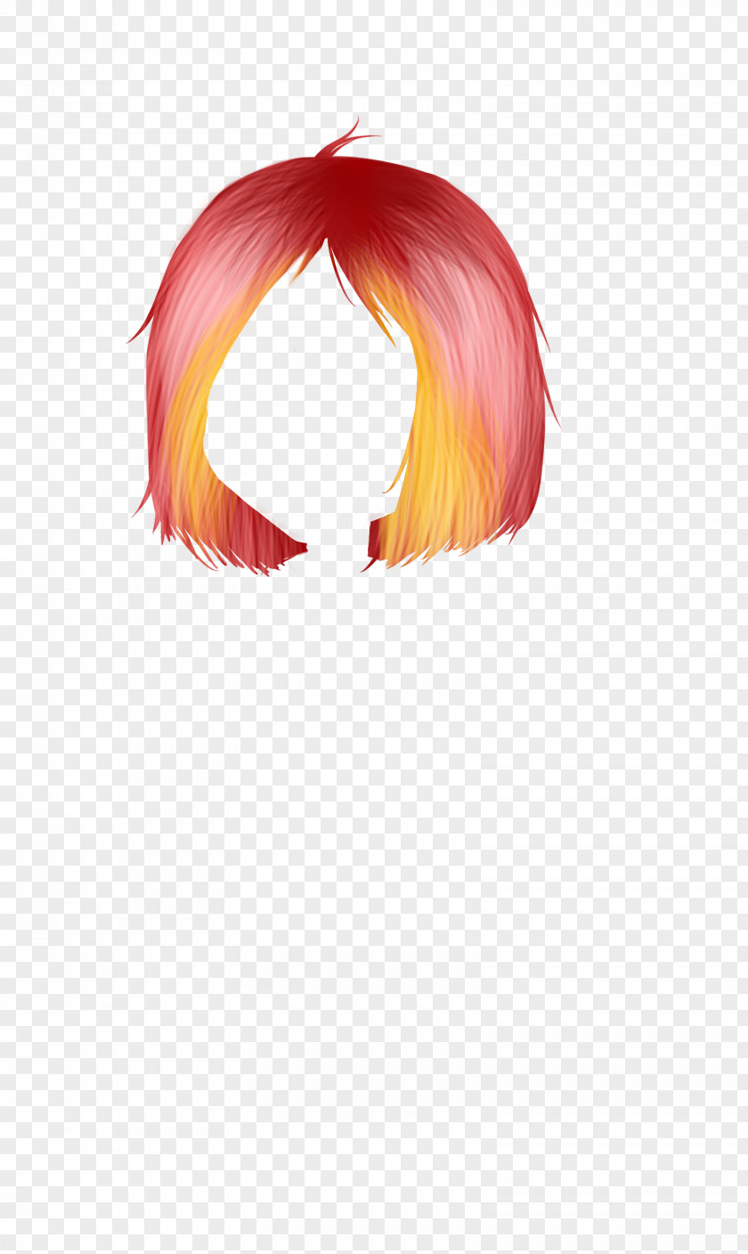 Hair Hairstyle Fashion PNG