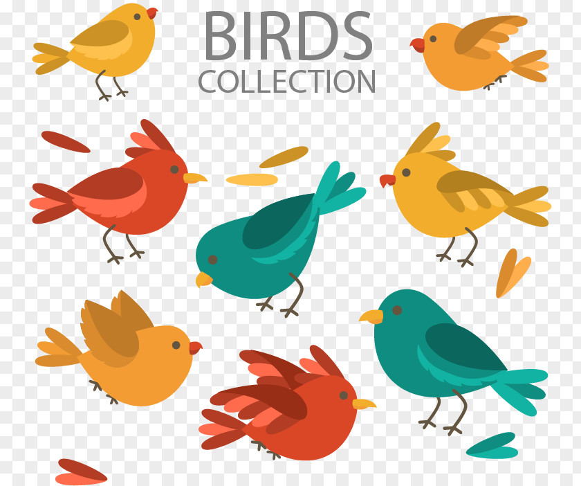 Seven Color Cartoon Bird Lovebird Feather Illustration PNG