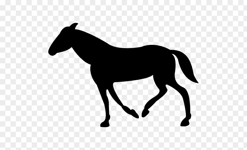 Walking Horse Royalty-free PNG