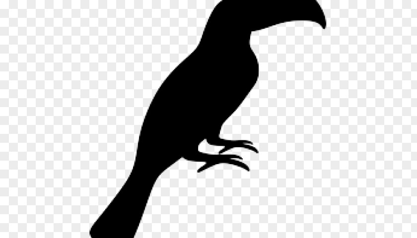 Wing Toucan Bird Silhouette PNG