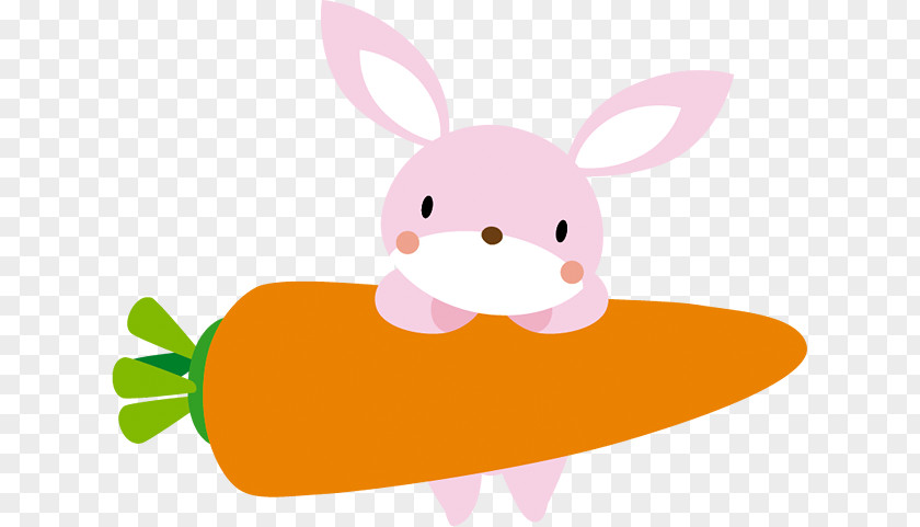 Domestic Rabbit Clip Art Illustration Hare Naver Blog PNG