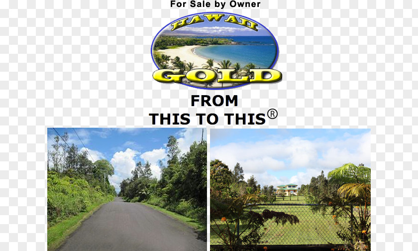 Hilo International Airport Land Lot Rural Sales Property Acre PNG