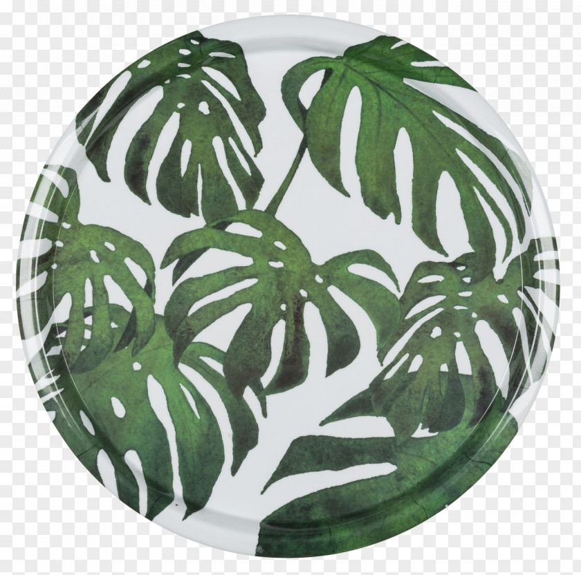 Monstera Swiss Cheese Plant Living Room Furniture Bedroom Couch PNG