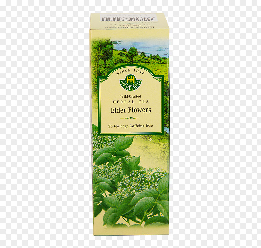 Sambucus Nigra Flowering Tea Herbal Bag PNG