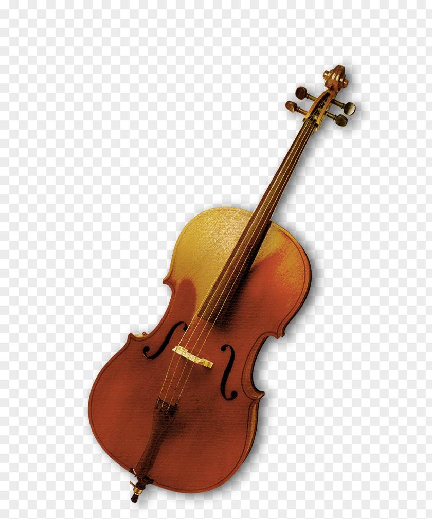 Violin Bass Musical Instrument Viola PNG