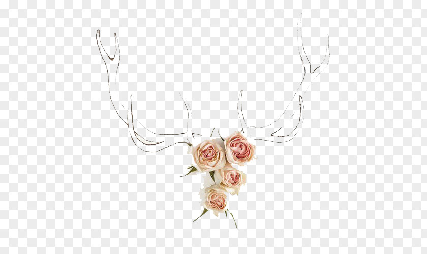 Flowers Deer Sadness Drawing Illustration PNG