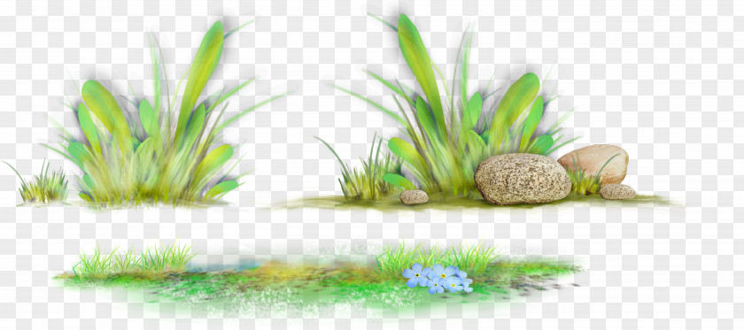 Fresh Grass Desktop Wallpaper Clip Art PNG