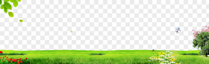 Green Grass Background Lawn Grasses House Energy Wallpaper PNG