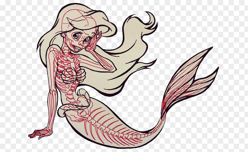 Mermaid Tail Cartoon Ariel Drawing Character PNG