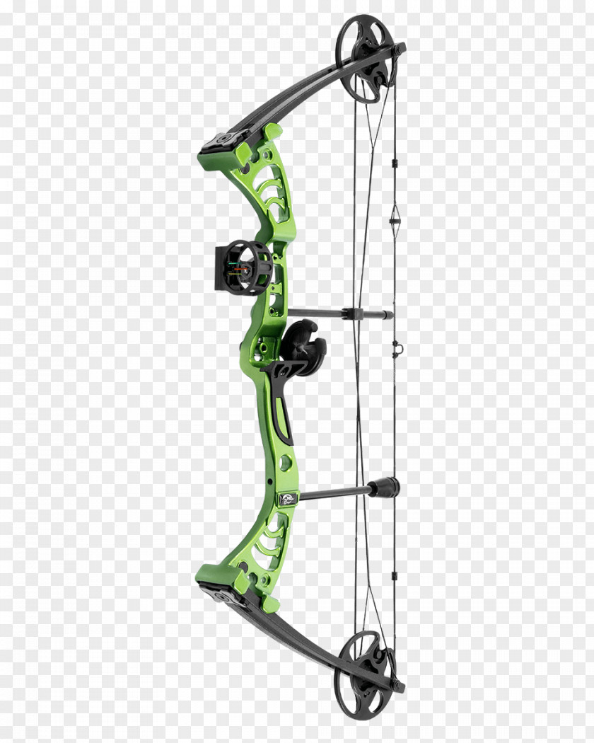Arrow Bow Compound Bows And Archery Recurve PNG