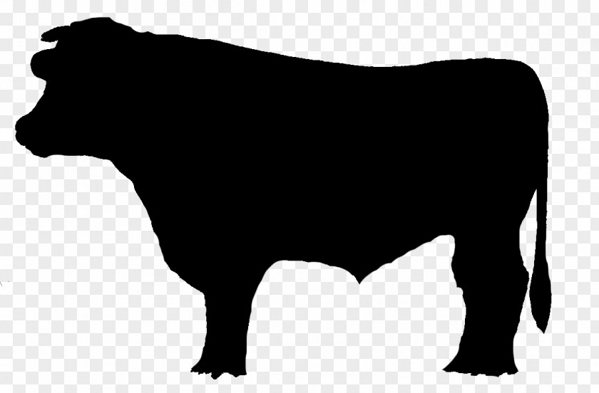 Bull Dairy Cattle Brangus Chophouse Restaurant Ox PNG