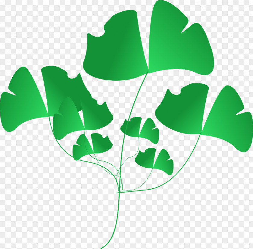 Green Leaf Frame Title Download Clip Art PNG
