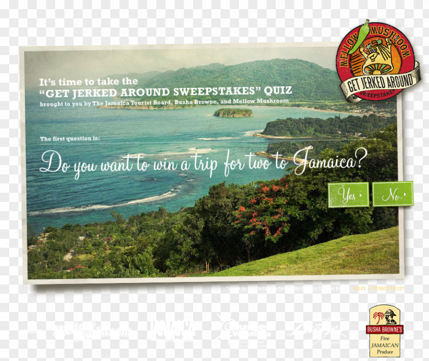 Mushroom Water Resources Nature Reserve Advertising Land Lot Lawn PNG