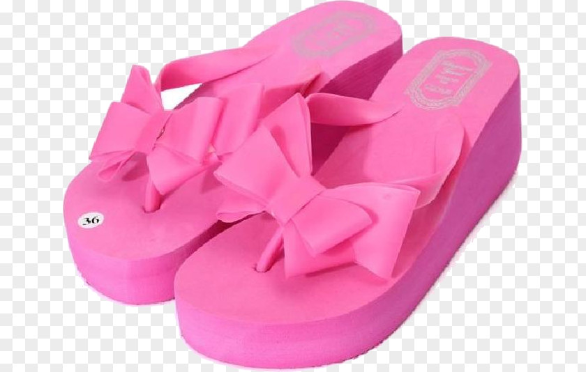 Sandal Slipper Flip-flops Shoe Absatz PNG