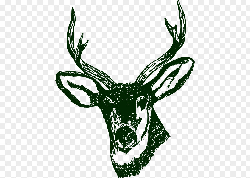 Stag Head Reindeer Elk Clip Art PNG