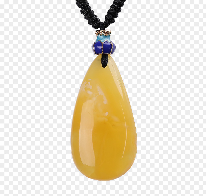 Beeswax Gemstone Pendant Amber Bee Necklace PNG