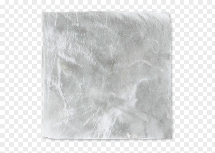 Bone Soft Tissue Membrane Graft PNG