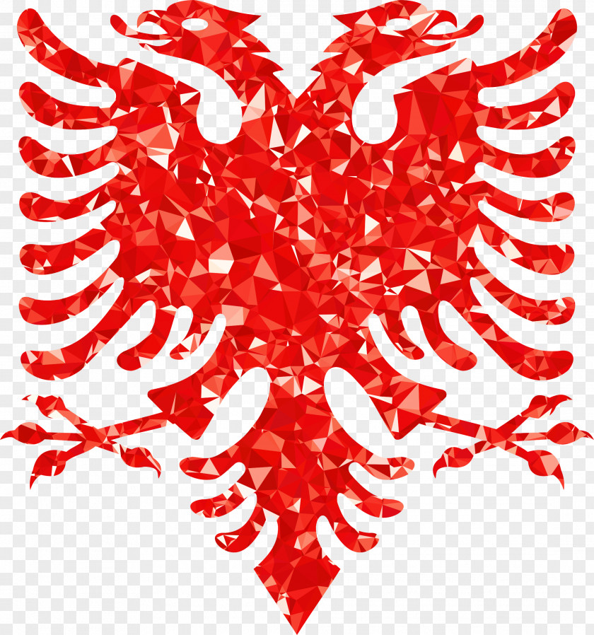 Eagle Flag Of Albania Double-headed National Anthem PNG