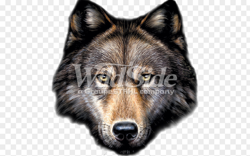 Gray Wolf Drawing Moose Labrador Retriever PNG