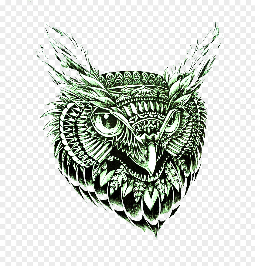 Green Owl Black And White Avatar PNG