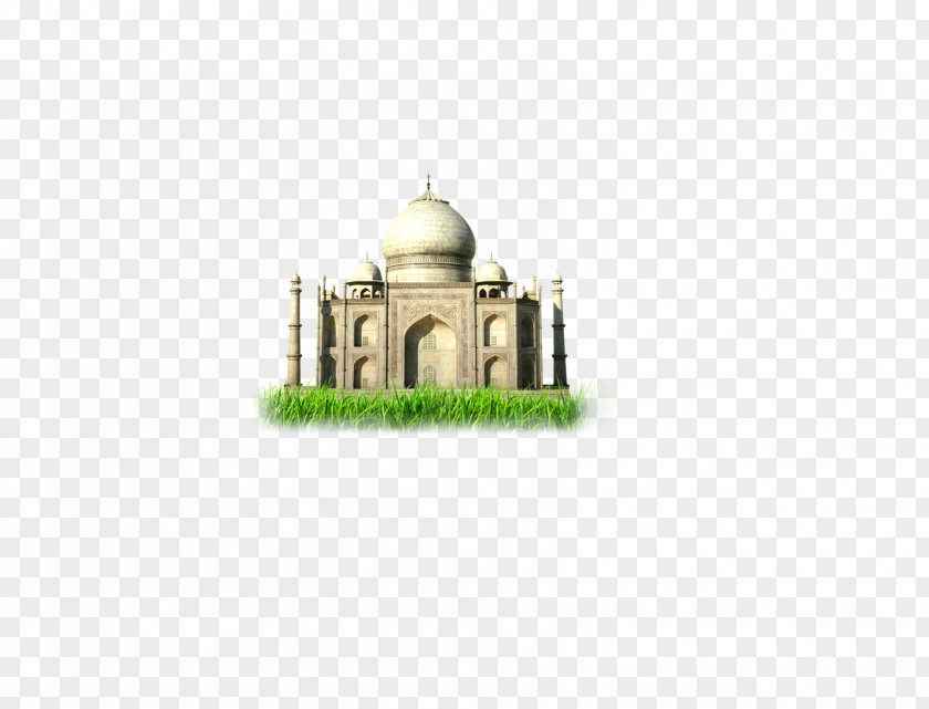 On The Grass Of Taj Mahal Brand Wallpaper PNG