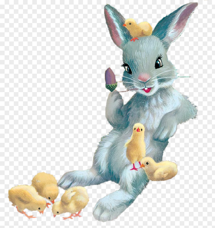 Rabbit Domestic Easter Bunny Hare Martine PNG