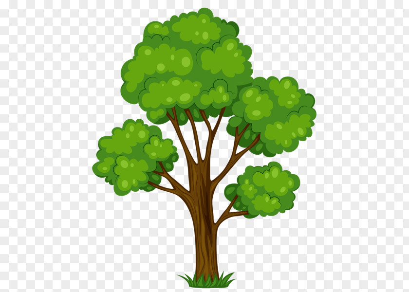 Tree Vector Free Content Clip Art PNG