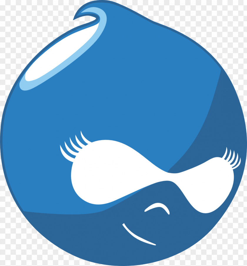 WordPress Web Development Drupal 7 Content Management System PNG