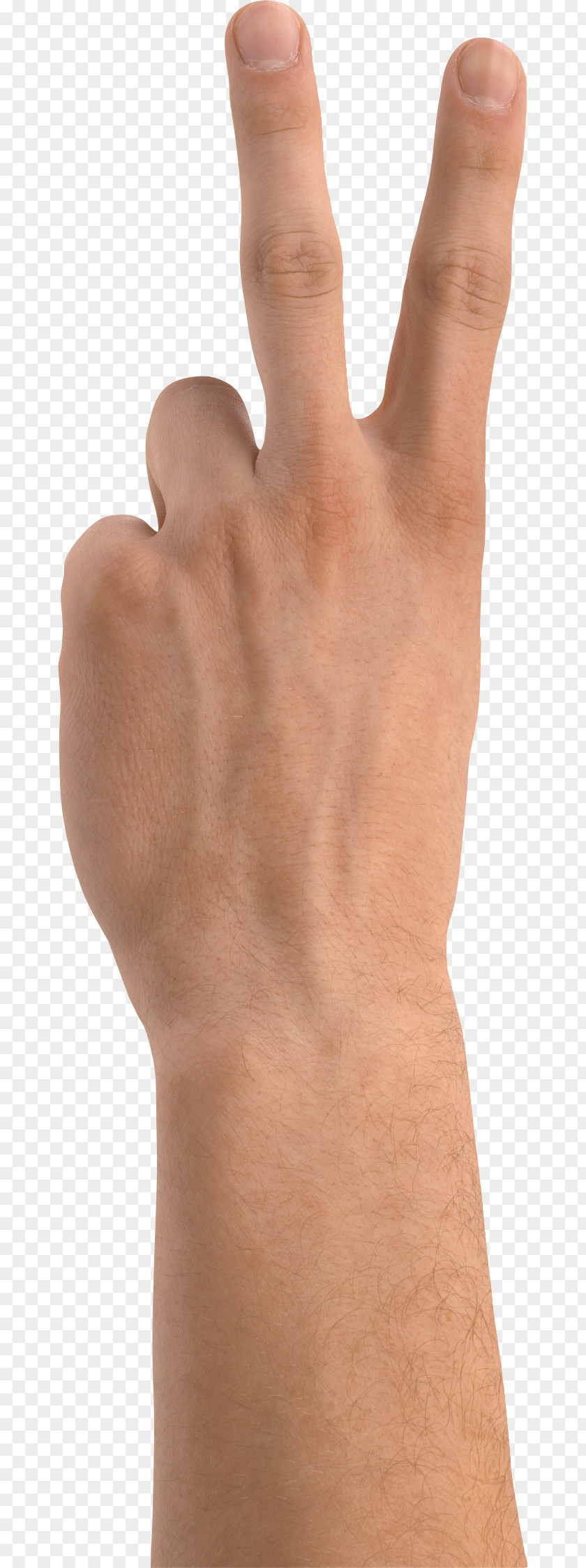 Hand Computer Icons Upper Limb Gesture PNG limb Gesture, hand clipart PNG