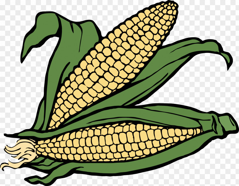 Indian Corn Clipart Free Content Maize Clip Art PNG