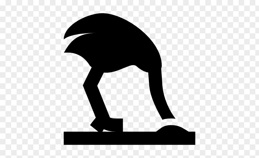 Ostrich Common Flightless Bird Clip Art PNG