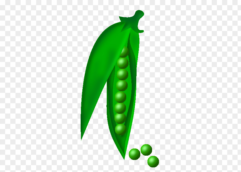 Petit Pois Pea Serrano Pepper Green Leaf Fruit PNG