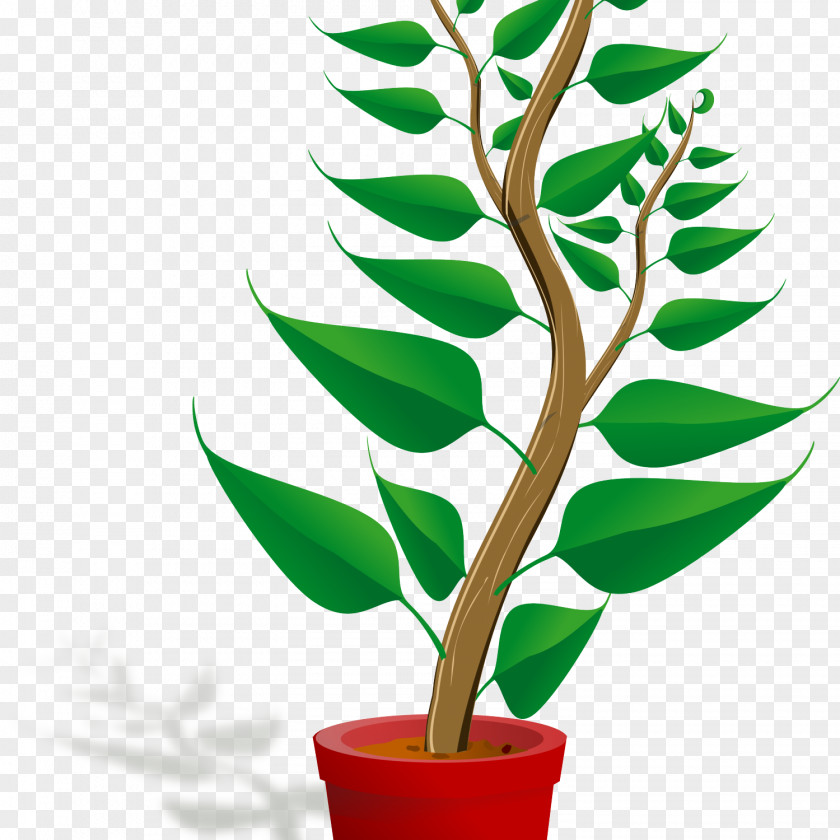Plant Cartoon Drawing Clip Art PNG