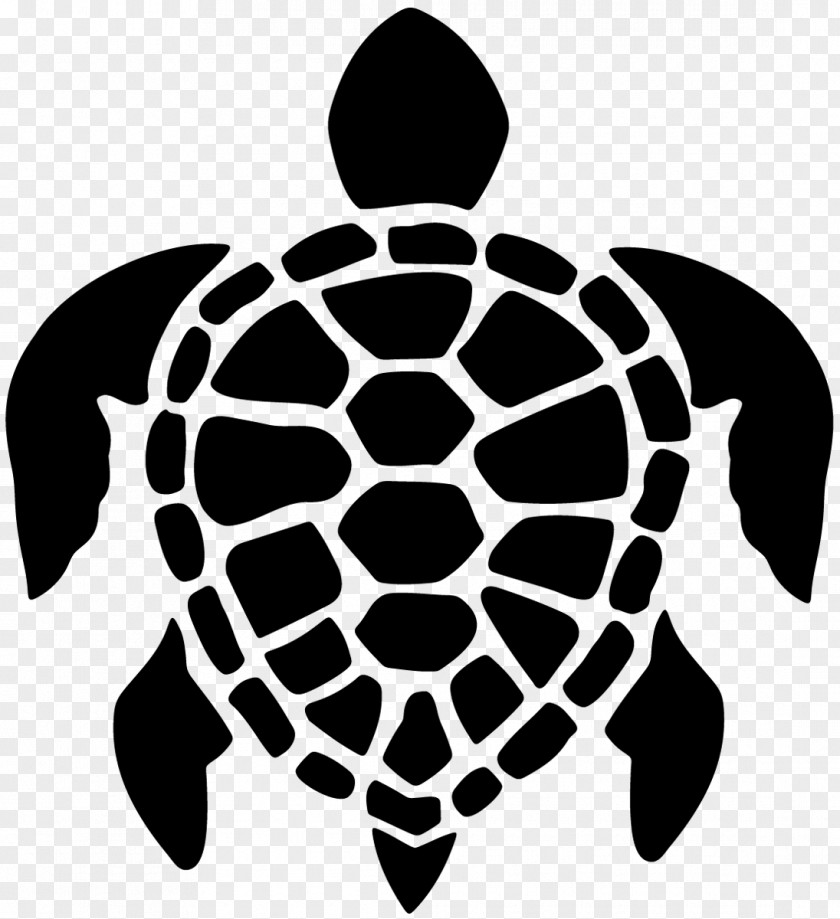 Tortoide Turtle Surfing Sticker Decal Clip Art PNG
