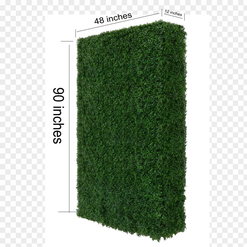 Box Wood Hedge Rectangle PNG