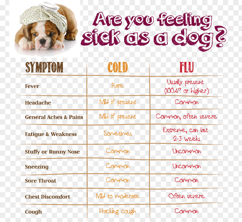 Common Cold Influenza Flu Season Sinus Infection Transmission PNG