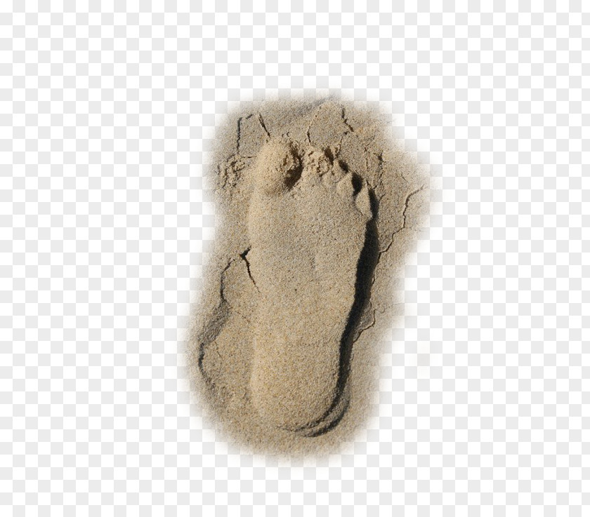 Dry Beach Footprints Sand Footprint PNG