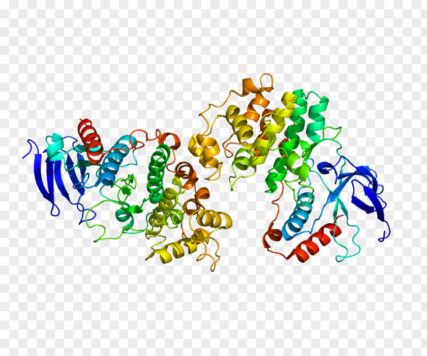 P38 Mitogen-activated Protein Kinases MAPK11 Serine/threonine-specific Kinase PNG
