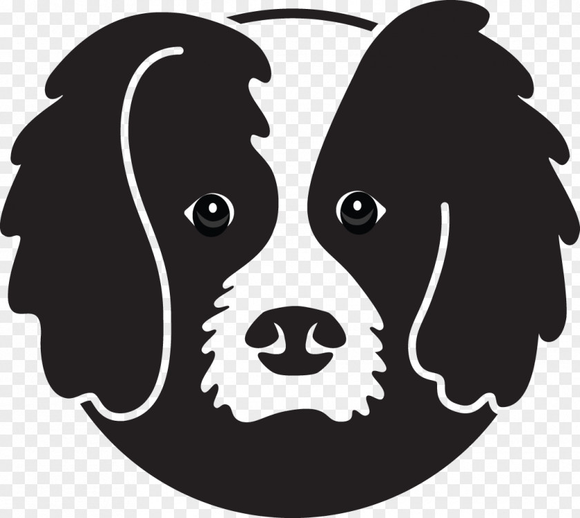 Puppy Dog Breed Poodle Bordoodle Border Collie PNG