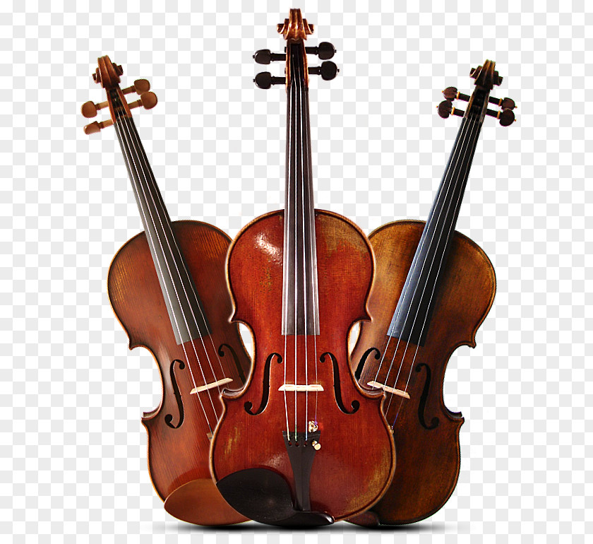 Violin Bass Violone Viola Double PNG