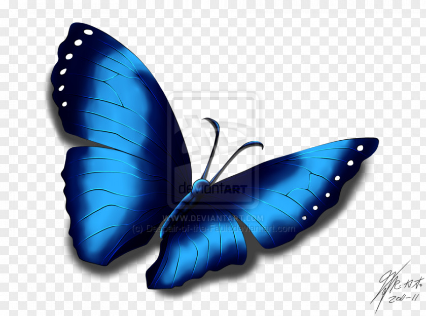 Butterfly Effect Image Adobe Photoshop PNG