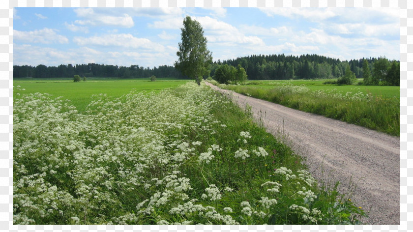 Country Road Suunnittelu Laukka Oy Ylivieska Take Me Home, Roads Pasture PNG